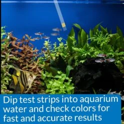 API Ammonia NH3/NH4 Freshwater & Saltwater Aquarium Test Strips -Fish Products 94269 PT5. AC SS1800 V1570548755