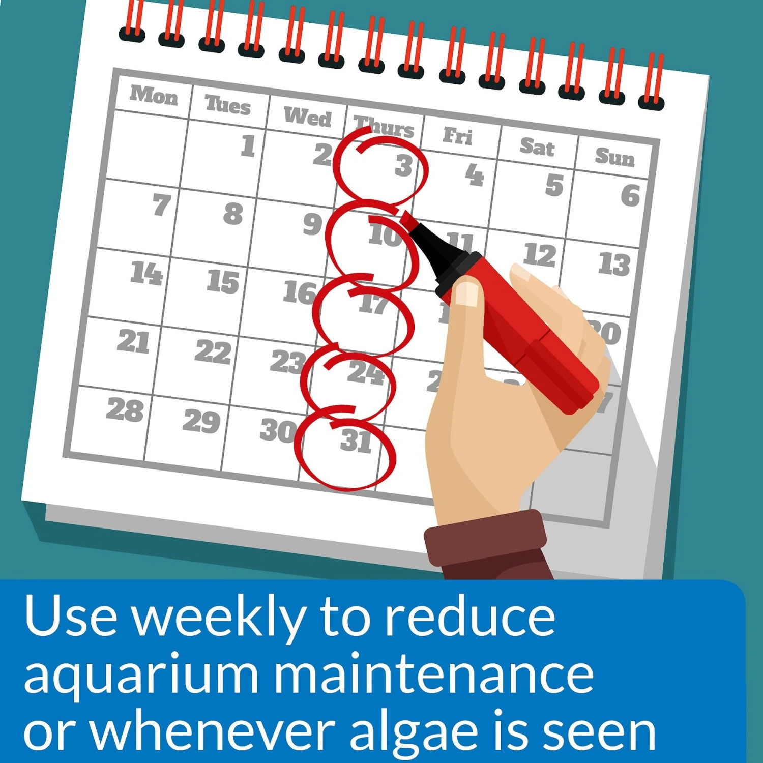 API Algaefix Algae Control Aquarium Solution 5 API Algaefix Algae Control Aquarium Solution - Image 3