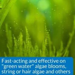 API Algaefix Algae Control Aquarium Solution 12 API Algaefix Algae Control Aquarium Solution -Fish Products 94284 PT4. AC SS1800 V1570549077