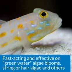 API Marine ALGAEFIX Algae Control 16-oz Bottle 14 API Marine ALGAEFIX Algae Control 16-oz Bottle -Fish Products 94290 PT6. AC SS1800 V1570549043