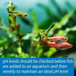 API PH Freshwater & Saltwater Aquarium Test Strips 15 API PH Freshwater & Saltwater Aquarium Test Strips -Fish Products 94301 PT5. AC SS1800 V1570549322