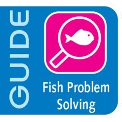 API Bettafix Antibacterial & Antifungal Betta Fish Infection Remedy -Fish Products 94326 PT6. AC SS1800 V1570549382