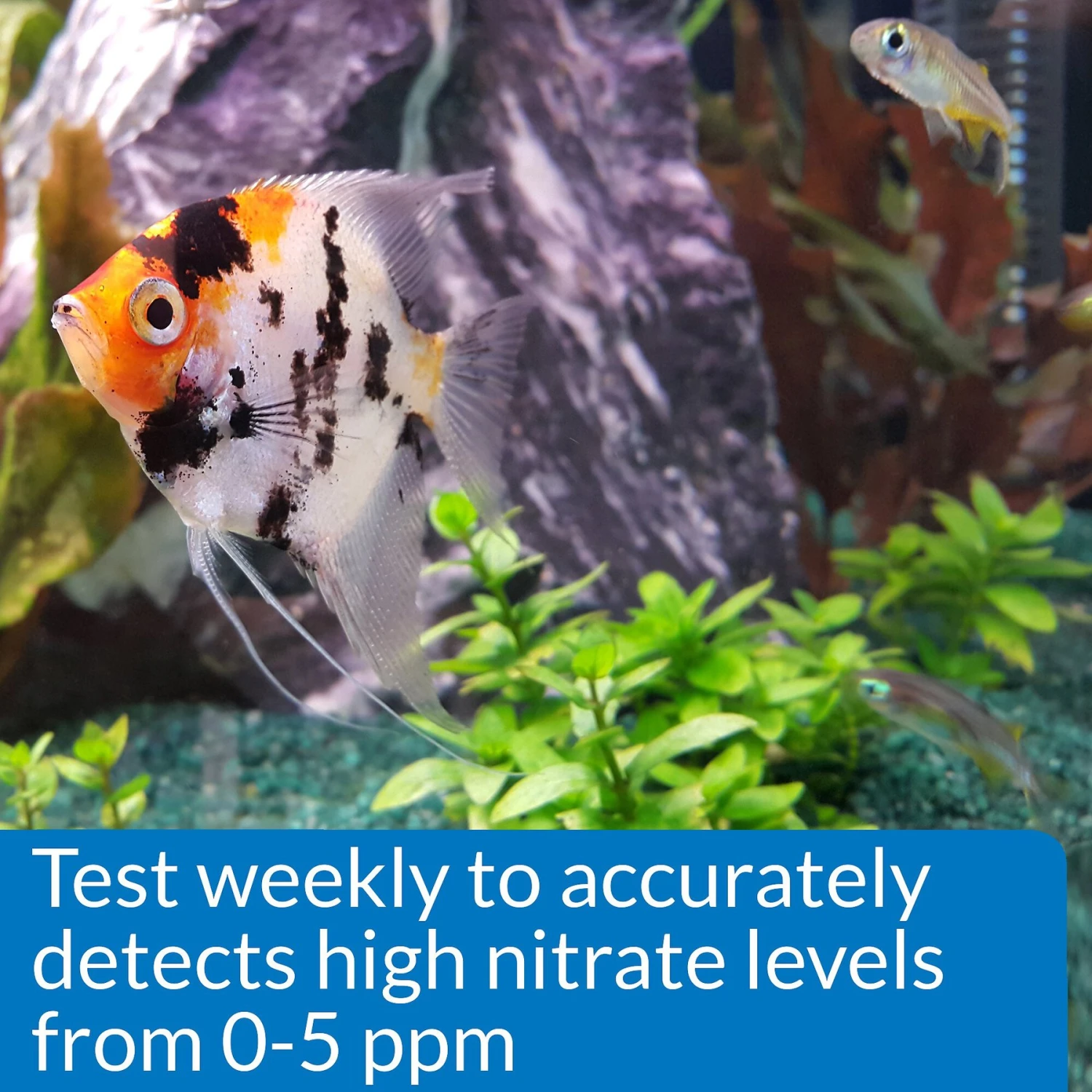 API Nitrite NO2 Fresh & Salt Water Aquarium Test Kit 7 API Nitrite NO2 Fresh & Salt Water Aquarium Test Kit - Image 5