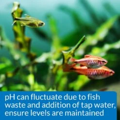 API PH Freshwater Aquarium Test Kit -Fish Products 94358 PT5. AC SS1800 V1570549405