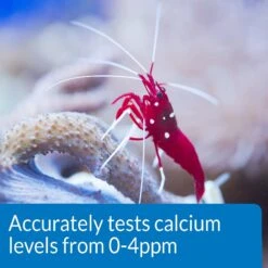 API Calcium Saltwater Aquarium Test Kit -Fish Products 94360 PT5. AC SS1800 V1570549337