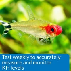 API KH Carbonate Hardness Fresh & Salt Water Aquarium Test Kit -Fish Products 94362 PT5. AC SS1800 V1570549398