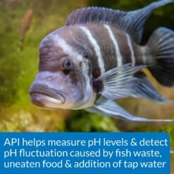 API High Range PH Fresh & Salt Water Aquarium Test Kit 15 API High Range PH Fresh & Salt Water Aquarium Test Kit -Fish Products 94367 PT7. AC SS1800 V1570549682
