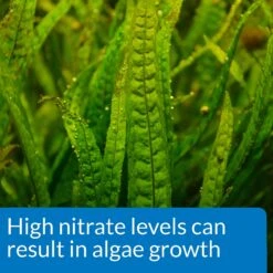 API Nitrate NO3 Freshwater & Saltwater Aquarium Test Kit 14 API Nitrate NO3 Freshwater & Saltwater Aquarium Test Kit -Fish Products 94369 PT6. AC SS1800 V1570549669