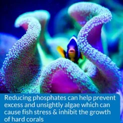 API Phosphate PO4 Freshwater & Saltwater Aquarium Test Kit 15 API Phosphate PO4 Freshwater & Saltwater Aquarium Test Kit -Fish Products 94371 PT7. AC SS1800 V1570549654