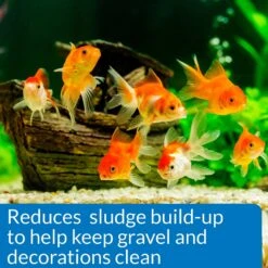 API Goldfish Protect Aquarium Water Conditioner -Fish Products 94378 PT5. AC SS1800 V1570549922