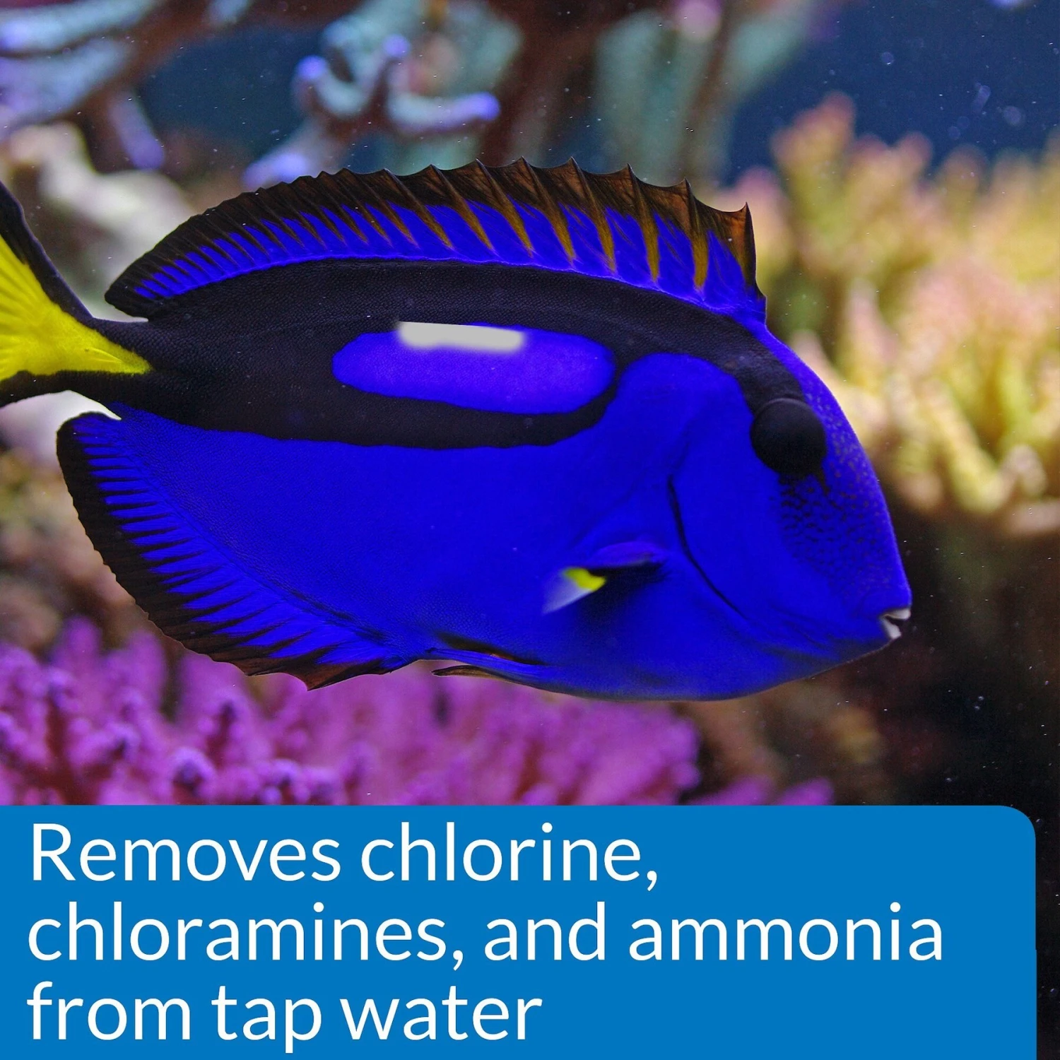 API Marine Stress Coat Saltwater Aquarium Water Conditioner 6 API Marine Stress Coat Saltwater Aquarium Water Conditioner - Image 4