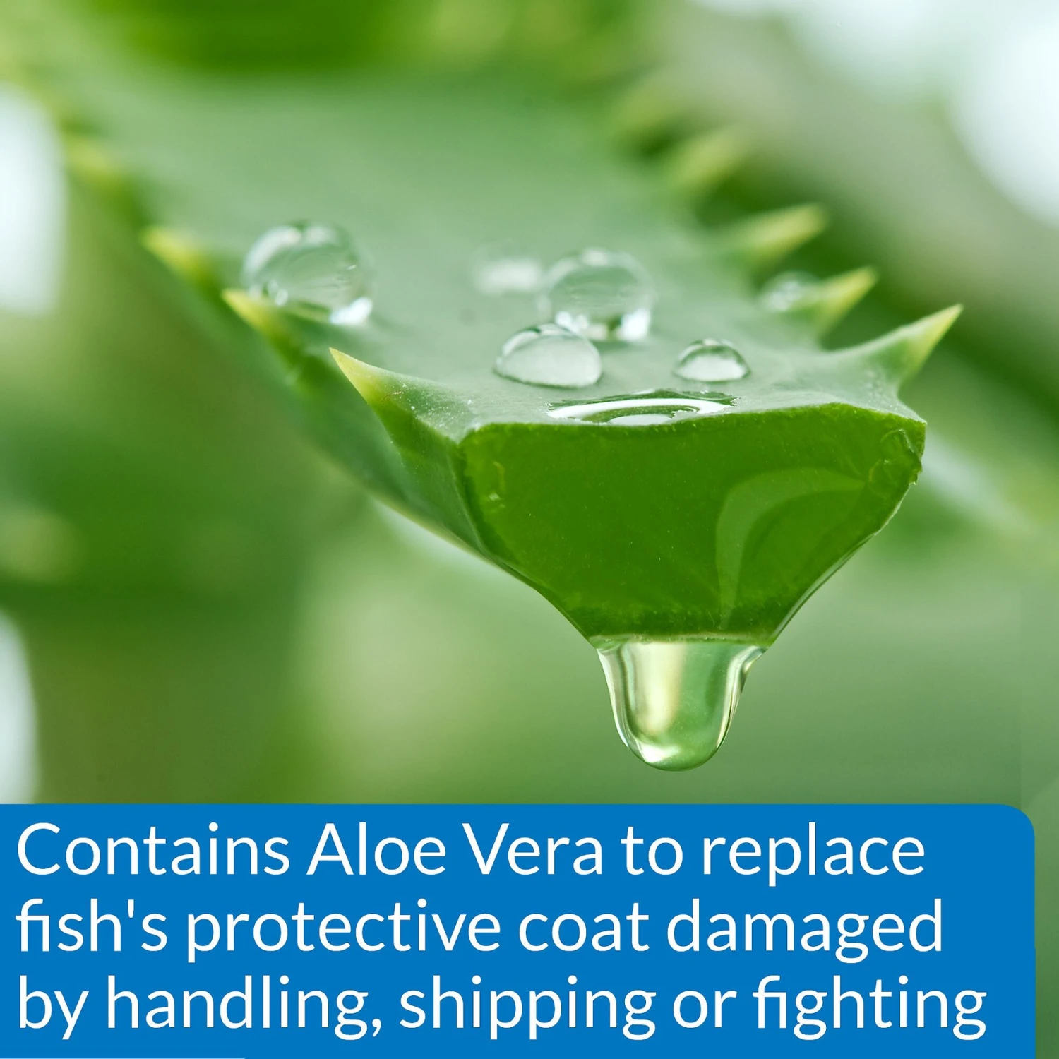 API Marine Stress Coat Saltwater Aquarium Water Conditioner 7 API Marine Stress Coat Saltwater Aquarium Water Conditioner - Image 5