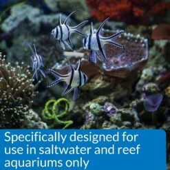 API Marine Stress Coat Saltwater Aquarium Water Conditioner 14 API Marine Stress Coat Saltwater Aquarium Water Conditioner -Fish Products 94398 PT6. AC SS1800 V1570549974