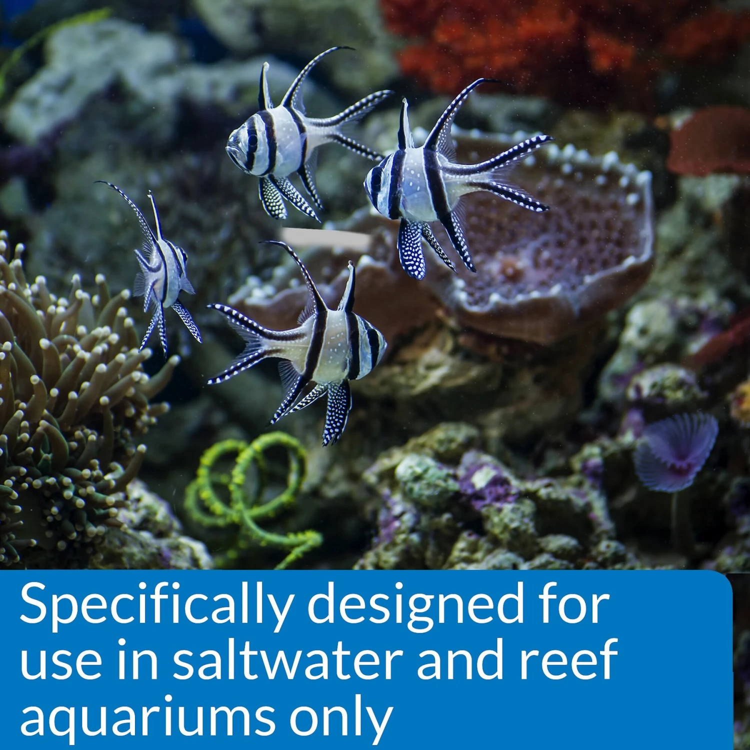 API Marine Stress Coat Saltwater Aquarium Water Conditioner 8 API Marine Stress Coat Saltwater Aquarium Water Conditioner - Image 6