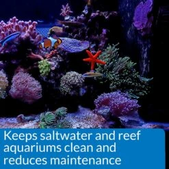 API Marine Stress Zyme Saltwater Aquarium Cleaning Solution 12 API Marine Stress Zyme Saltwater Aquarium Cleaning Solution -Fish Products 94403 PT4. AC SS1800 V1570549949