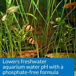 API PH Down Freshwater Aquarium Water Treatment -Fish Products 94416 PT4. AC SS1800 V1570549931