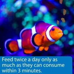 API Marine Optimal Protein Flakes Fish Food -Fish Products 94471 PT4. AC SS1800 V1570551776