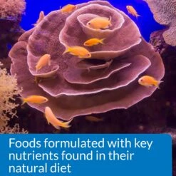 API Marine Optimal Protein Flakes Fish Food -Fish Products 94471 PT6. AC SS1800 V1570551723