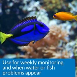 API Saltwater Aquarium Master Test Kit 13 API Saltwater Aquarium Master Test Kit -Fish Products 94476 PT5. AC SS1800 V1570551790