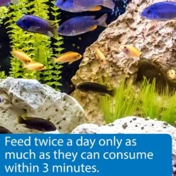 API Large Floating Pellets Cichlid Fish Food -Fish Products 94534 PT4. AC SS1800 V1570552621