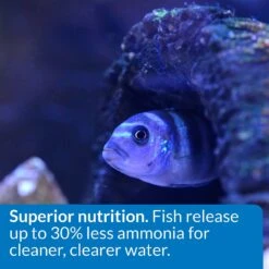 API Large Floating Pellets Cichlid Fish Food -Fish Products 94534 PT5. AC SS1800 V1570552635