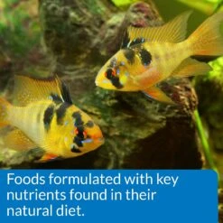 API Large Floating Pellets Cichlid Fish Food -Fish Products 94534 PT6. AC SS1800 V1570552637