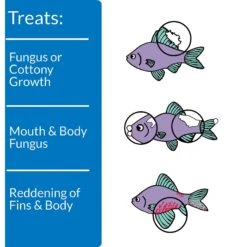 API Pimafix Freshwater & Saltwater Fish Fungal Infection Remedy -Fish Products 94564 PT3. AC SS1800 V1570552922