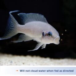 Aqueon Mini Cichlid Pellet Fish Food -Fish Products 96914 PT3. AC SS1800 V1678215557