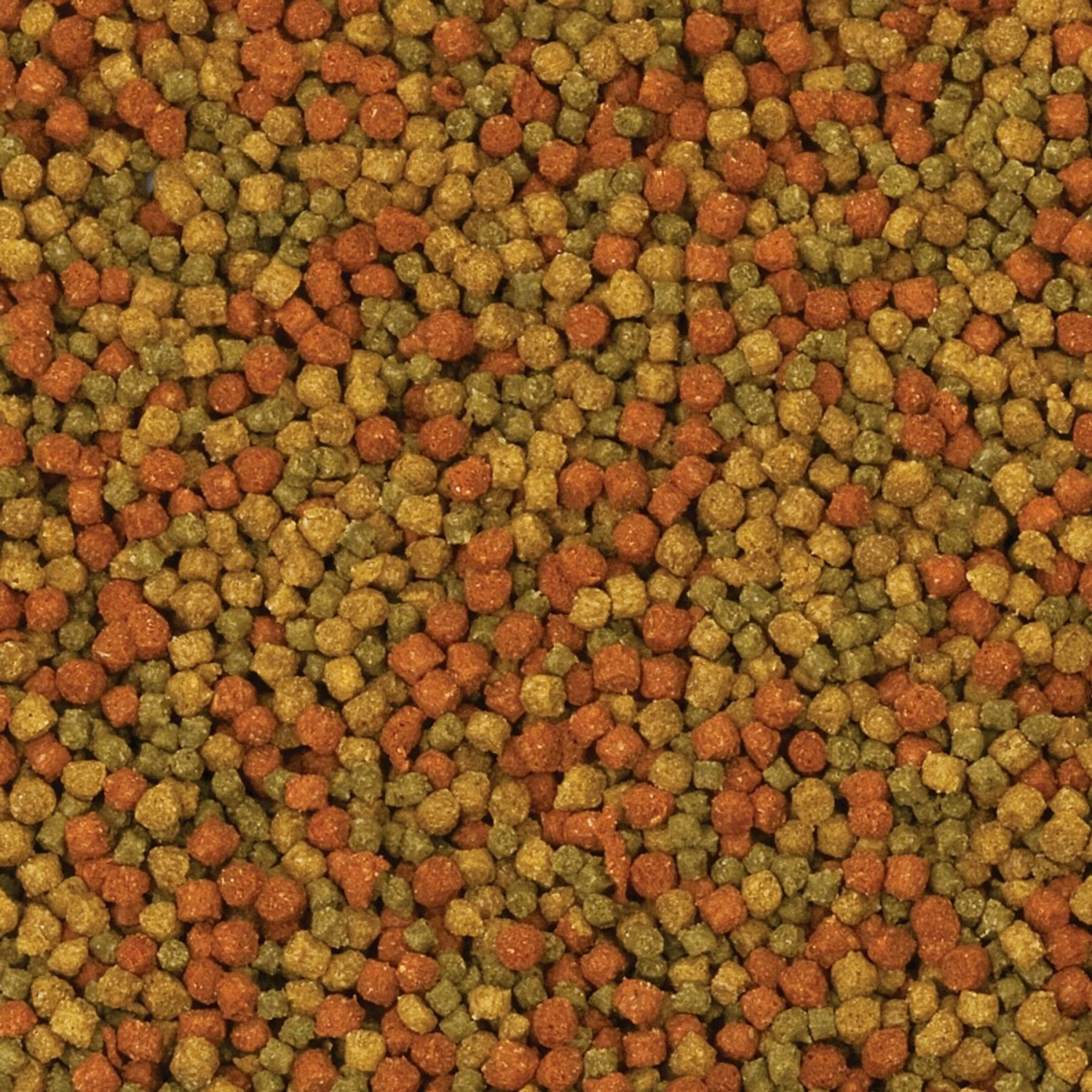 Aqueon Tropical Granules Fish Food 8 Aqueon Tropical Granules Fish Food - Image 6