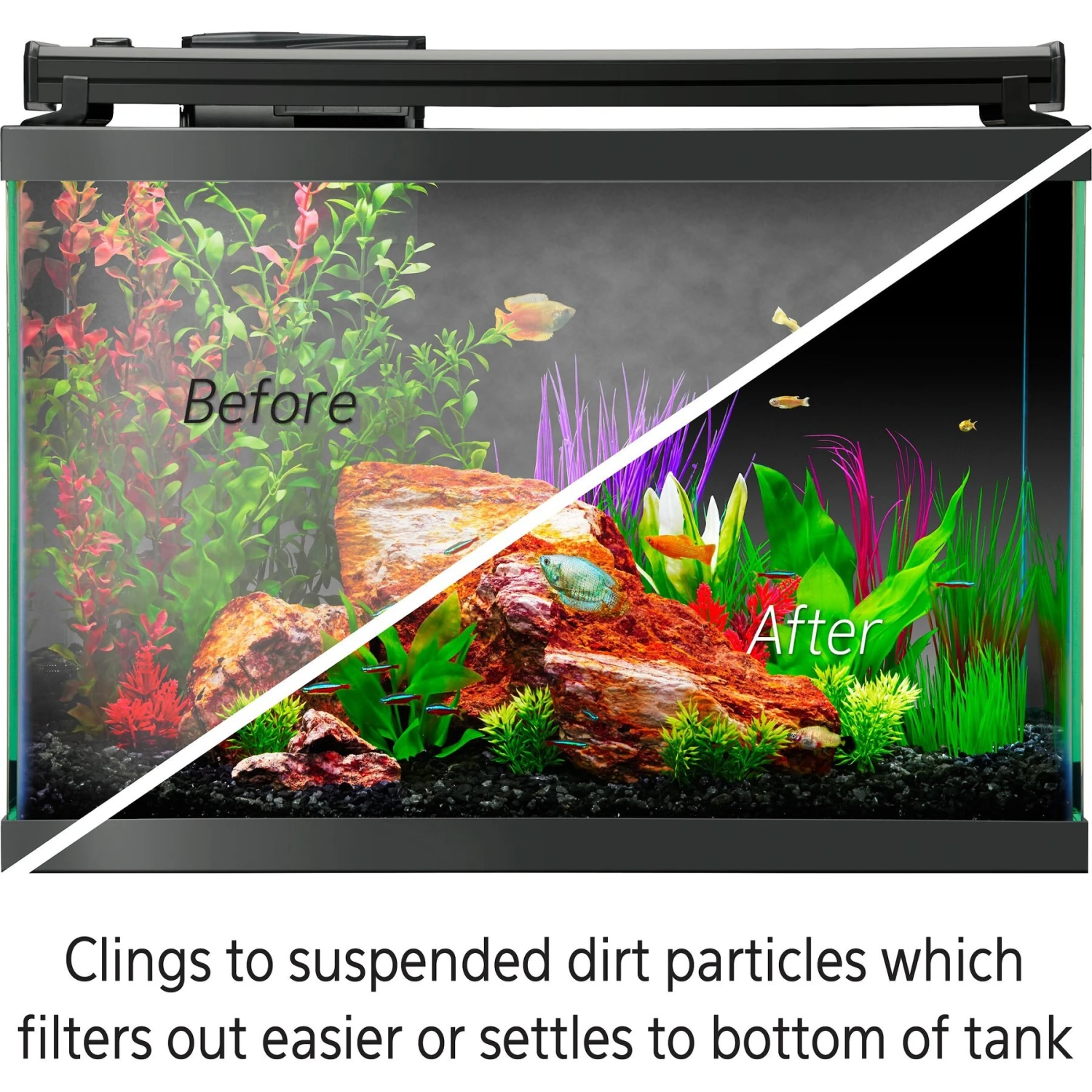 Aqueon Freshwater Clarifier 5 Aqueon Freshwater Clarifier - Image 3