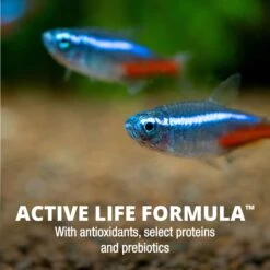 TetraMin Tropical Flakes Fish Food -Fish Products 98031 PT7. AC SS1800 V1622851090