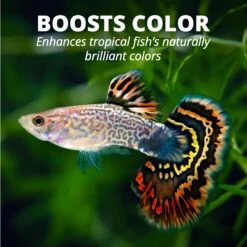 TetraMin Tropical Flakes Fish Food -Fish Products 98031 PT8. AC SS1800 V1550011581