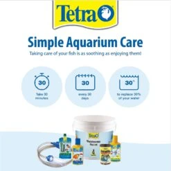 Tetra Algae Control Pond Fountain Block Water Treatment 14 Tetra Algae Control Pond Fountain Block Water Treatment -Fish Products 98243 PT6. AC SS1800 V1622854414