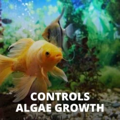 Tetra No More Algae Controls Algae Growth For Water Clarity -Fish Products 98320 PT4. AC SS1800 V1701452568