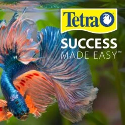 Tetra No More Algae Controls Algae Growth For Water Clarity -Fish Products 98320 PT5. AC SS1800 V1701452444