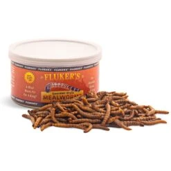 Fluker's Gourmet-Style Mealworms Reptile Food