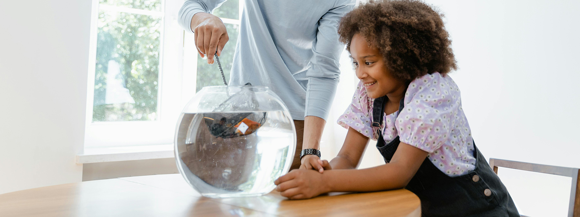 Fish Products -Fish Products pexels mart production 8434703